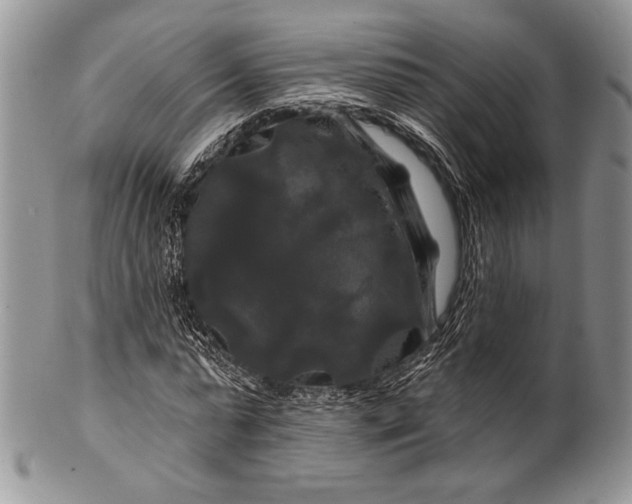 X0000100370775200806201627