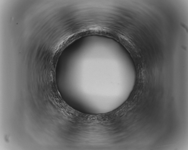 X0000100370776200806201627