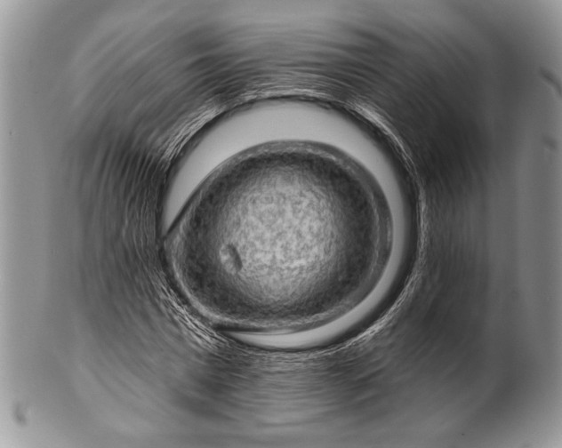 X0000100370777200806201627