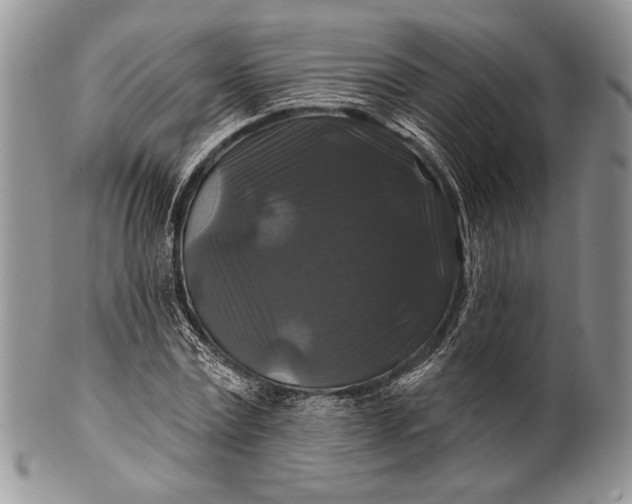 X0000100370779200806201627