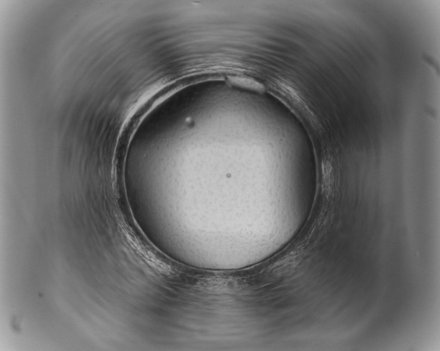 X0000100370780200806201627