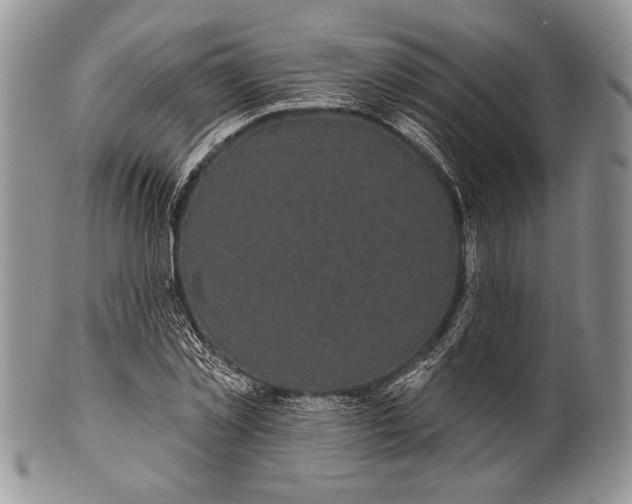 X0000100370781200806201627