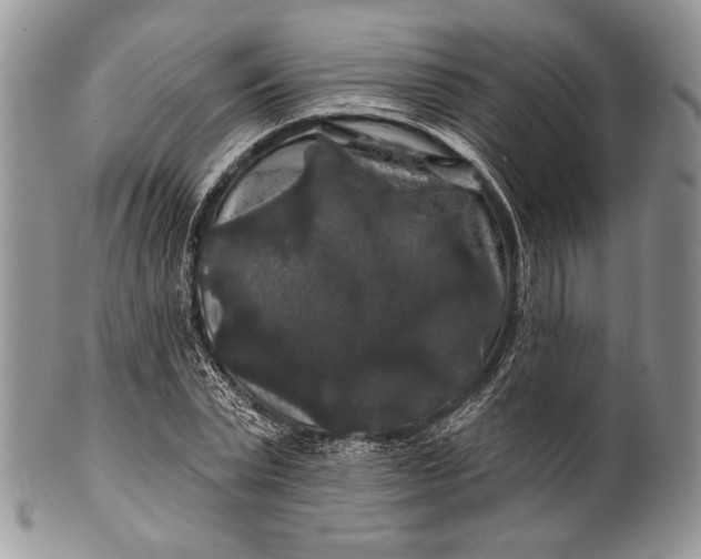 X0000100370783200806201627