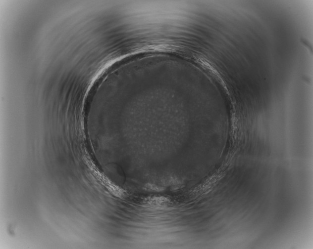 X0000100370784200806201627