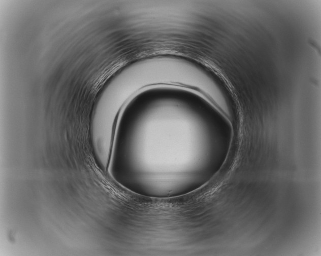 X0000100370785200806201627