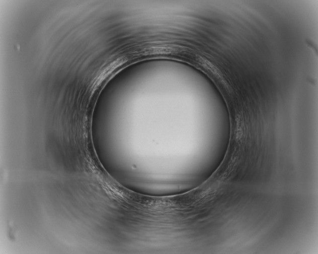 X0000100370786200806201627