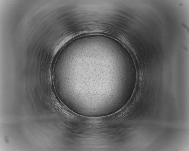 X0000100370789200806201627