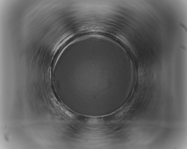 X0000100370790200806201627