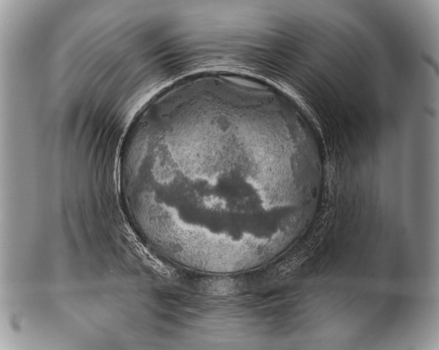 X0000100370791200806201626