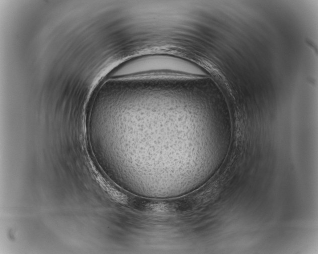 X0000100370792200806201626