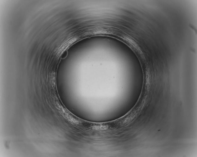 X0000100370793200806201626