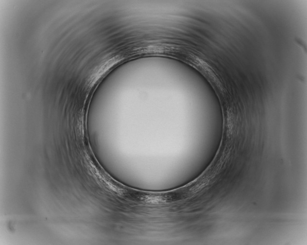 X0000100370794200806201626