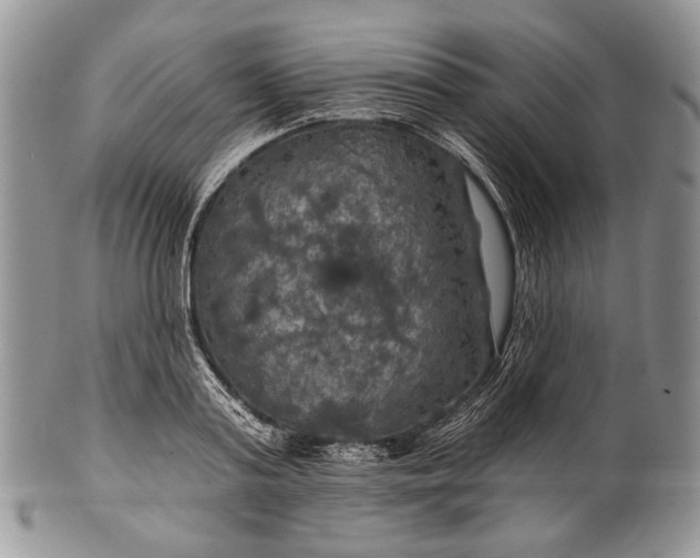 X0000100370795200806201626