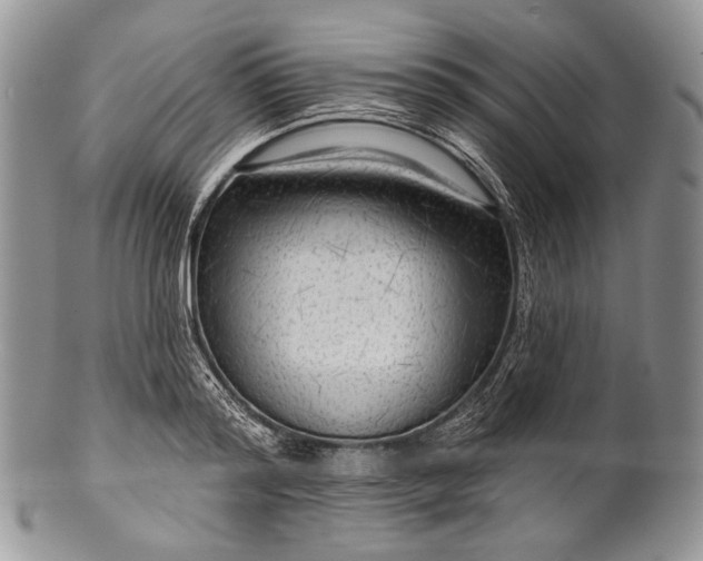 X0000100370796200806201626