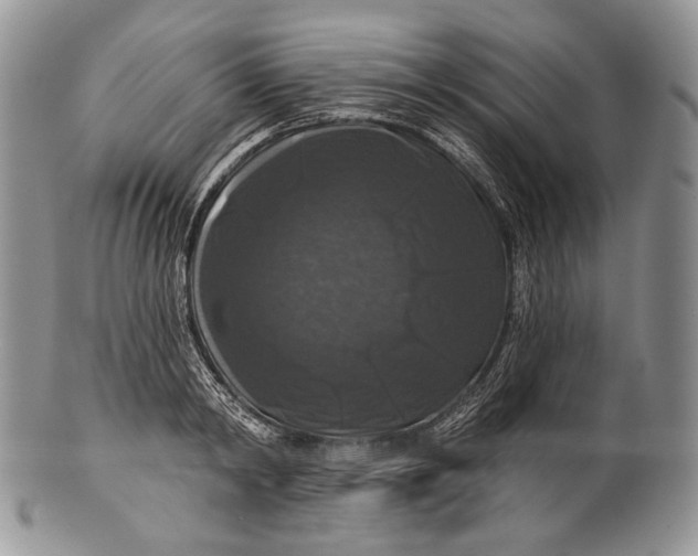 X0000100370798200806201626