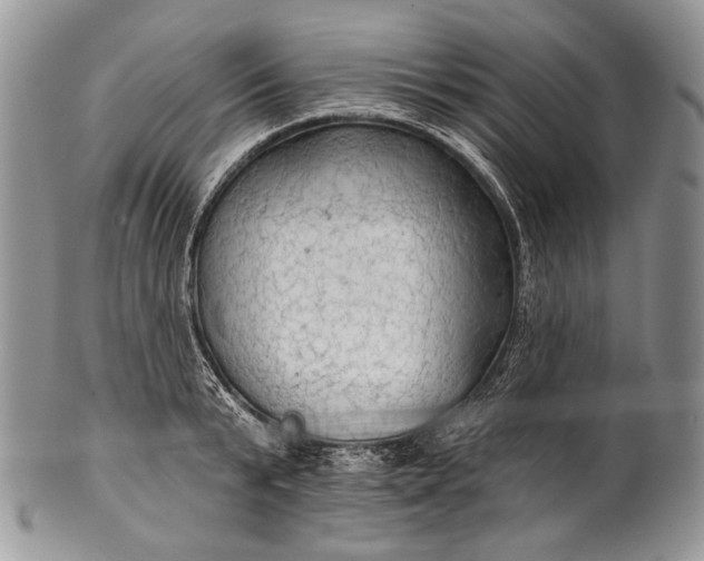 X0000100370799200806201626