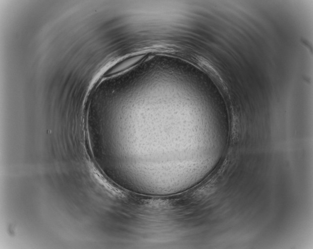 X0000100370800200806201626