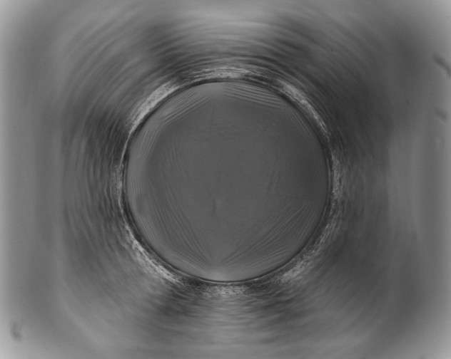 X0000100370802200806201626