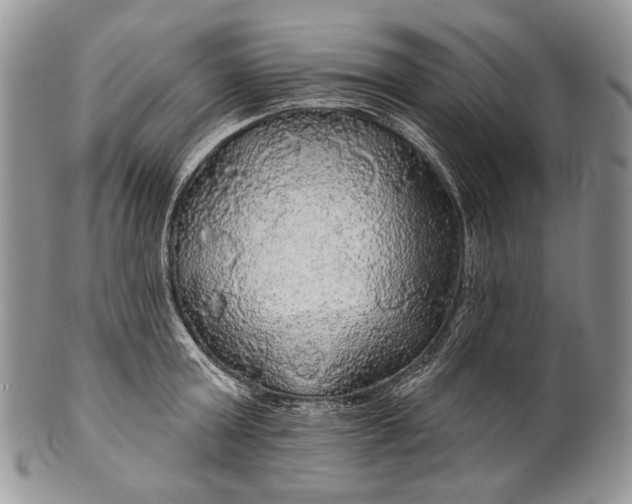 X0000100370803200806201626