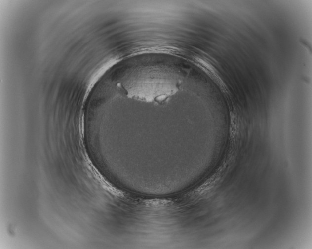 X0000100370804200806201626