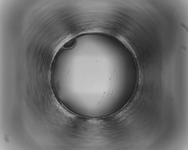 X0000100370805200806201626