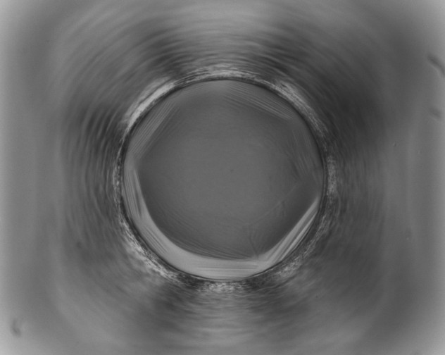 X0000100370806200806201626