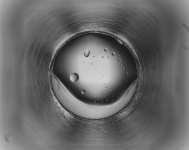 X0000100370807200806201626