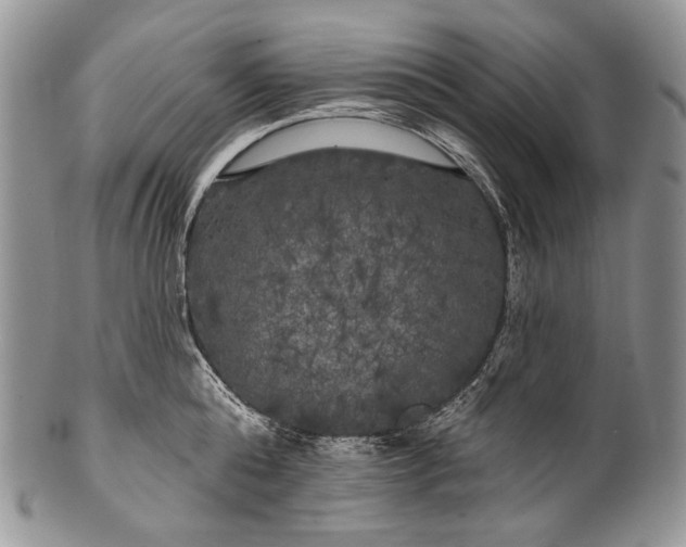 X0000100370808200806201626