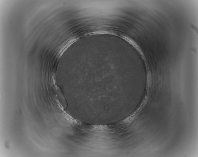 X0000100370809200806201626