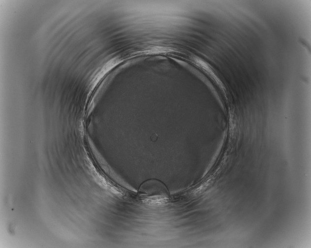 X0000100370810200806201626