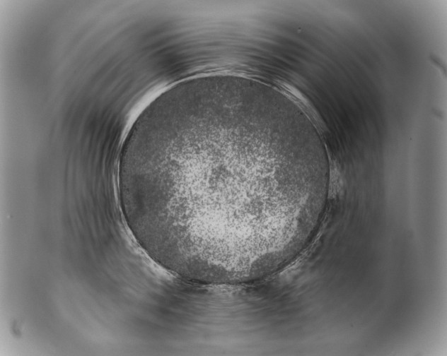 X0000100370812200806201626