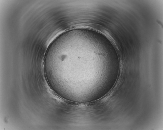 X0000100370814200806201626