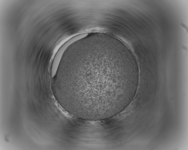 X0000100370816200806201626