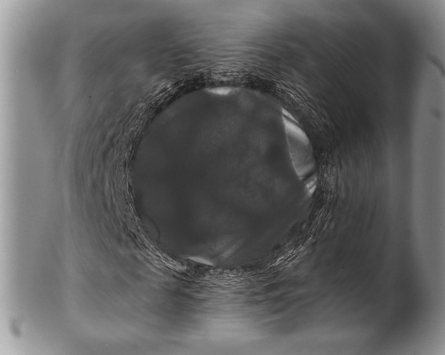 X0000100370817200806201625