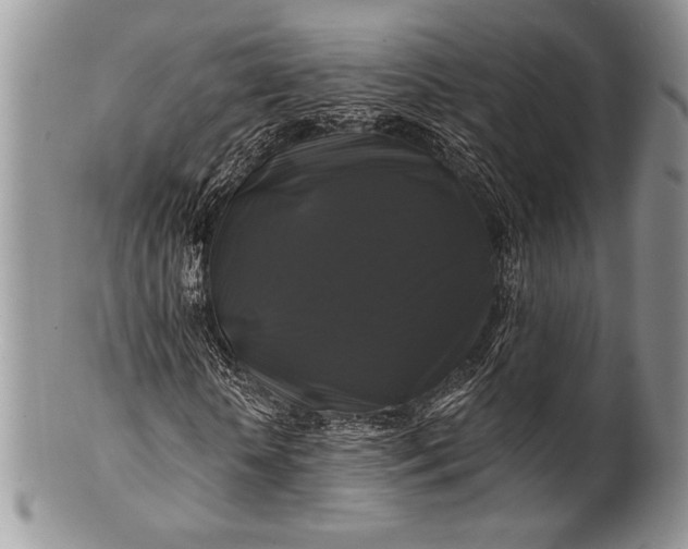 X0000100370818200806201625