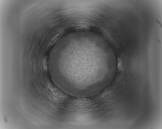 X0000100370819200806201625