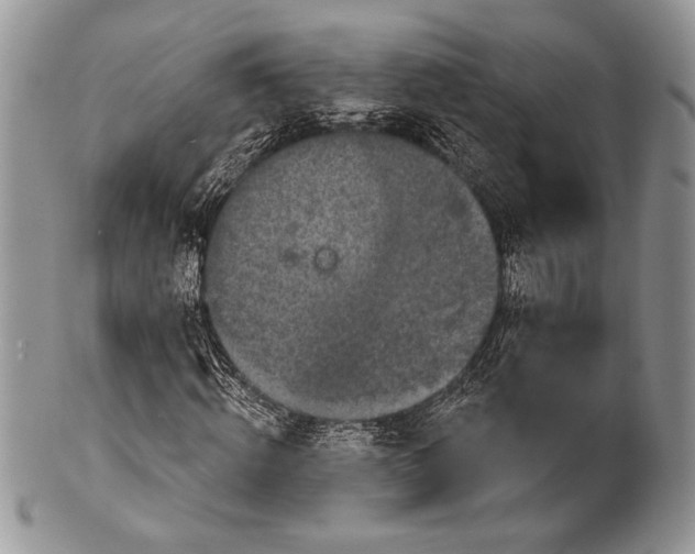 X0000100370820200806201625