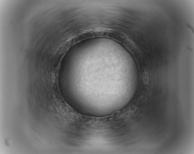 X0000100370821200806201625