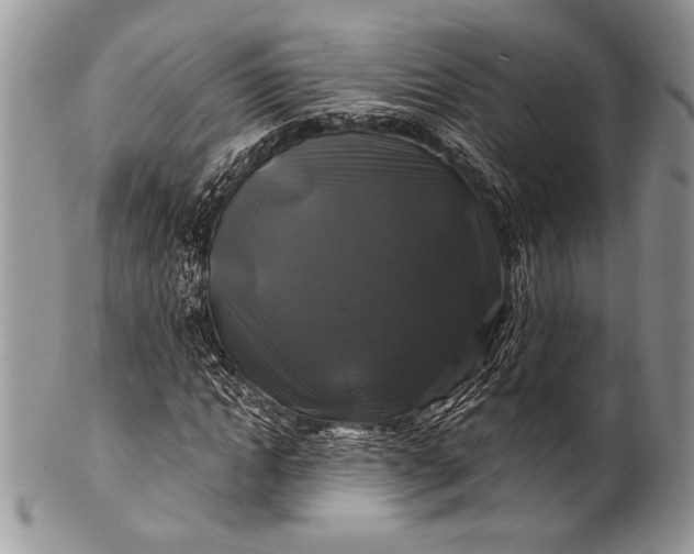 X0000100370822200806201625