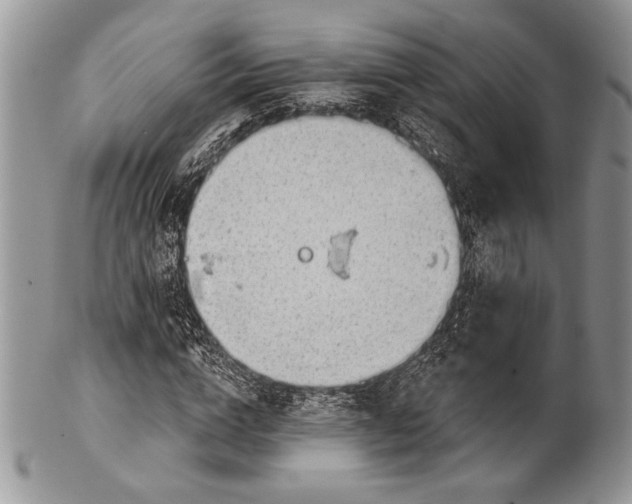 X0000100370824200806201625