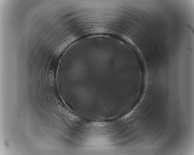 X0000100370825200806201625