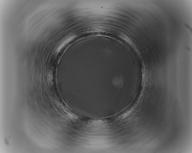 X0000100370826200806201625