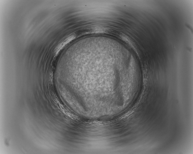 X0000100370827200806201625