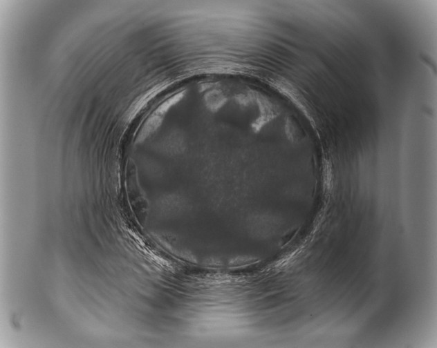 X0000100370829200806201625