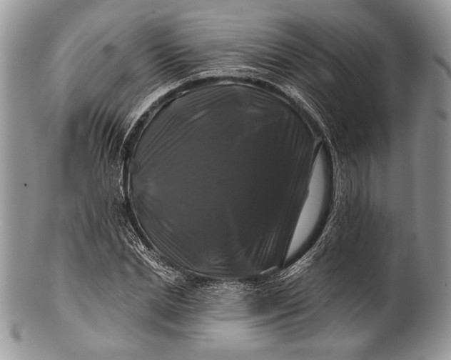 X0000100370830200806201625