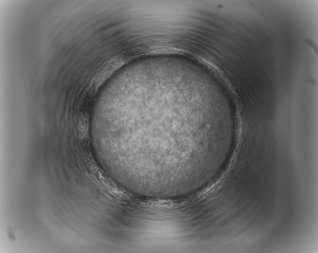 X0000100370833200806201625