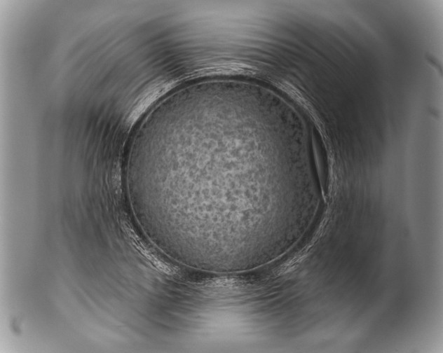 X0000100370834200806201625