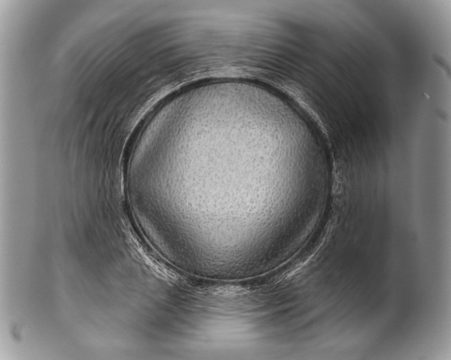 X0000100370837200806201625