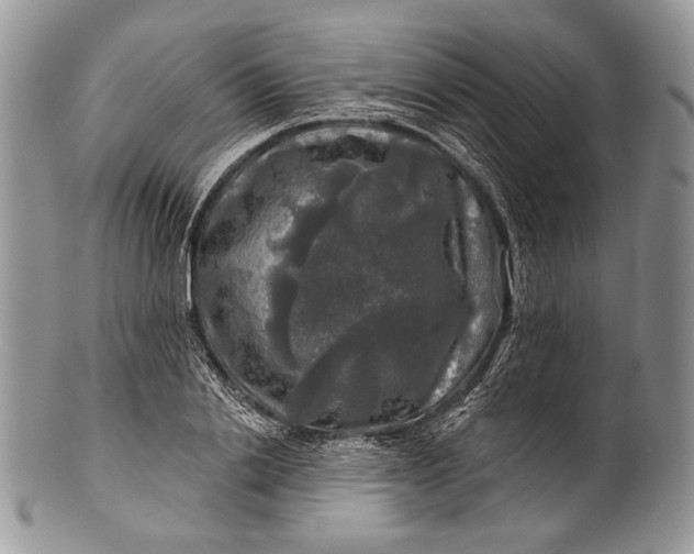 X0000100370838200806201625