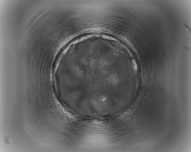 X0000100370839200806201625